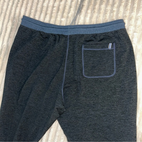 Marine Layer Gray Joggers with Blue Accents - Picture 3 of 6